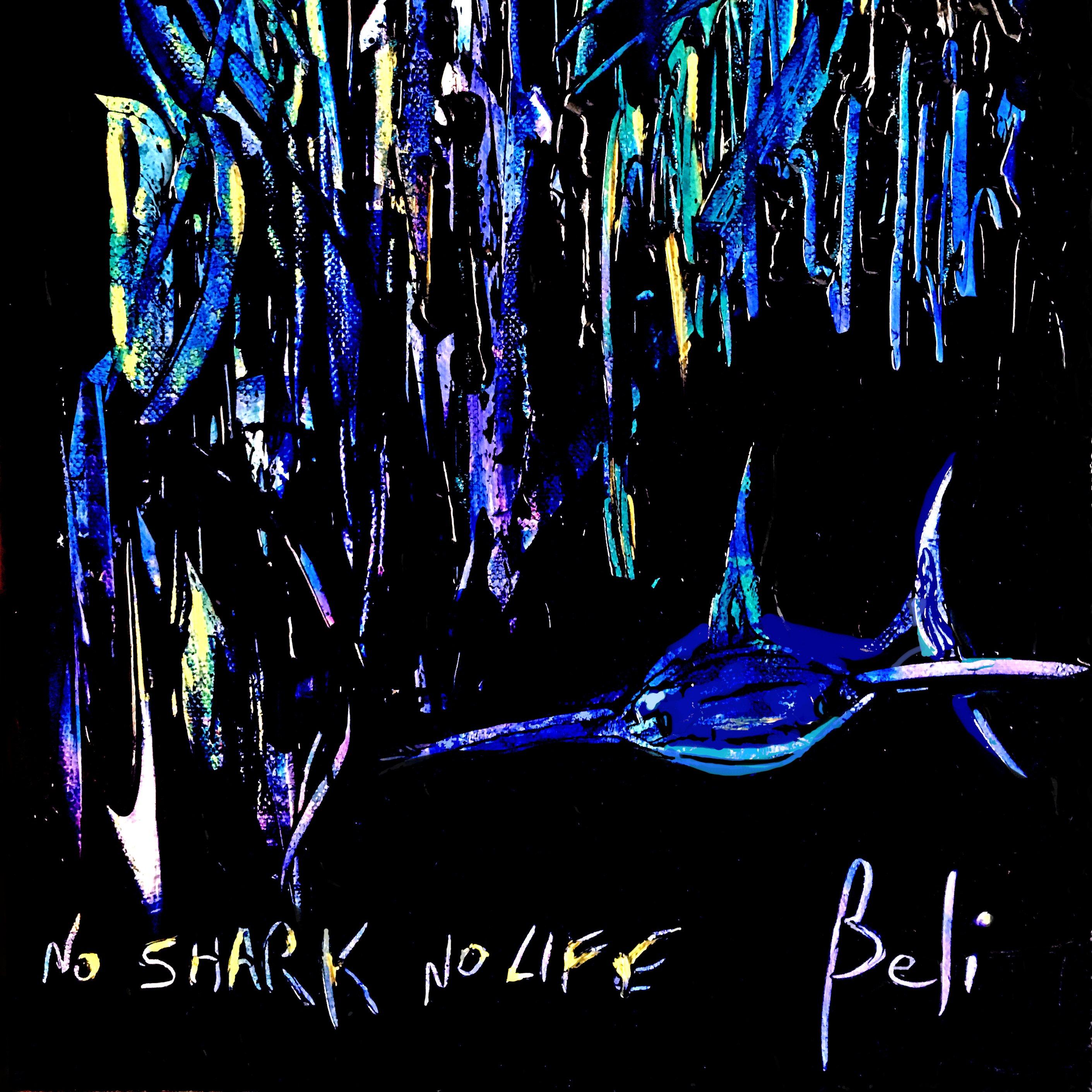 12-210 No shark, no life (toile sur chassis, 33x24cm) © Belinda BUSSOTTI