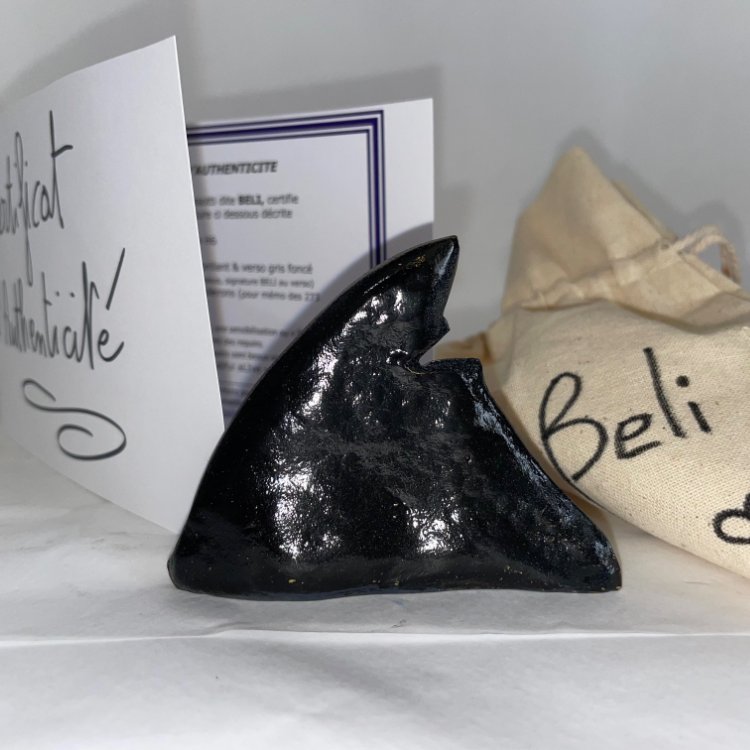 © Belinda BUSSOTTI  © Belinda BUSSOTTI