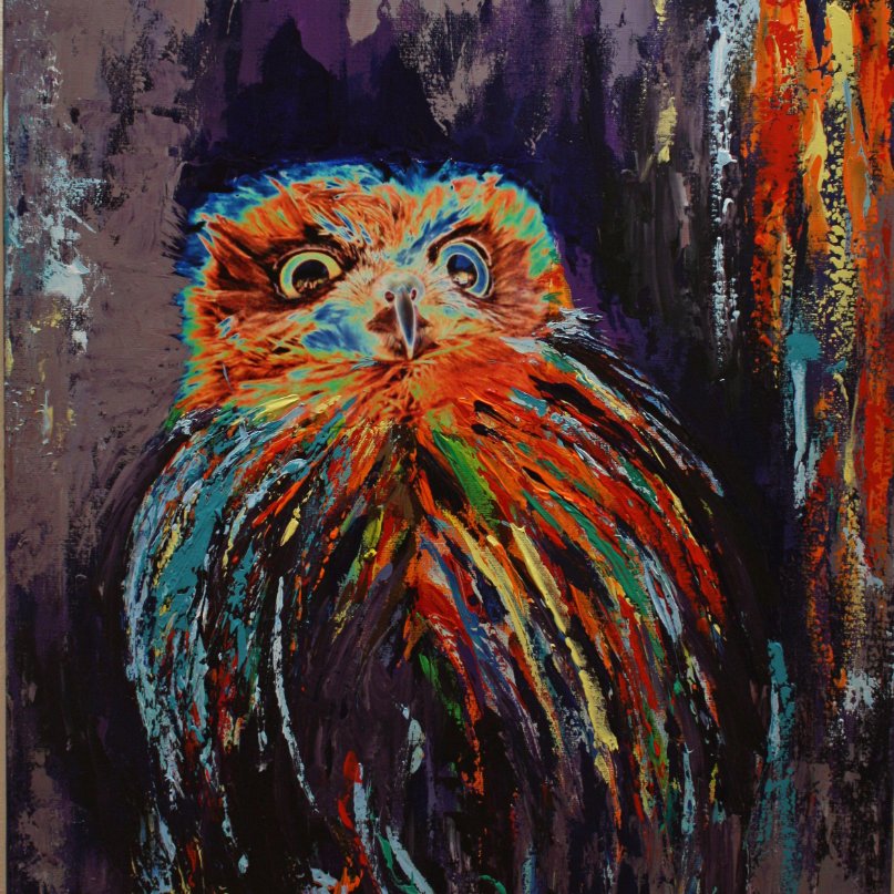 9-167 Hibou psychédélique (81x65cm) © Belinda BUSSOTTI
