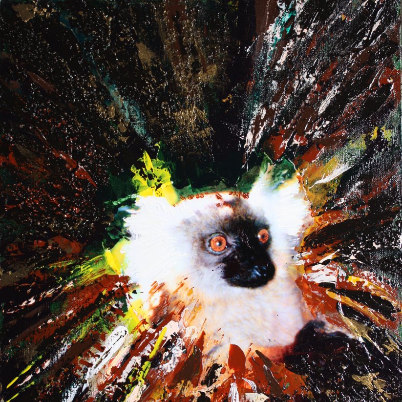 10-182 Sauvons les lémuriens (48x36cm) © Belinda BUSSOTTI