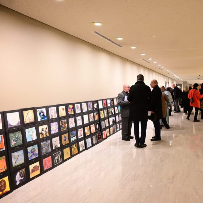 © Belinda BUSSOTTI © Belinda BUSSOTTI